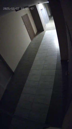 Caméra IP - Ucrania