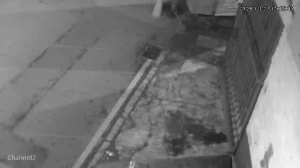 Caméra IP - Colombia