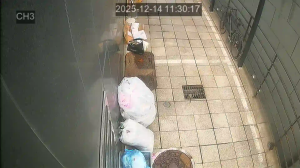 Caméra IP - South Korea