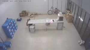 Caméra IP - Brasile