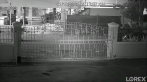 Caméra IP - Trinidad y Tobago