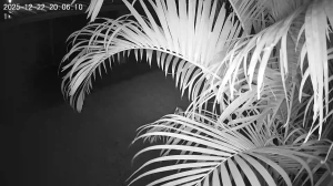 Caméra IP - Frankreich