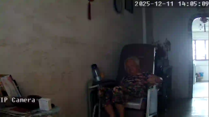 Caméra IP - Singapour