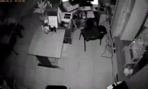 Caméra IP - Russian Federation