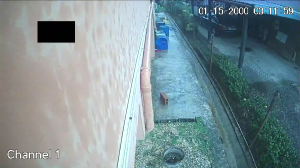 Caméra IP - Trinité-et-Tobago