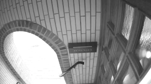 Caméra IP - Germany