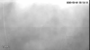 Caméra IP - Sudafrica