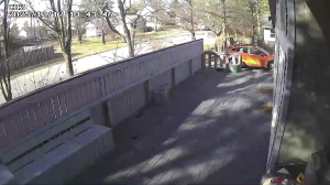 Caméra IP - United States of America