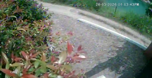 Caméra IP - Colombia