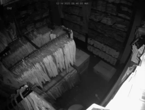 Caméra IP - Estados Unidos