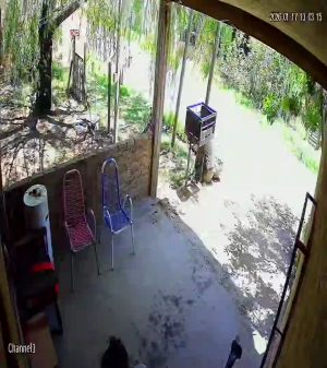 Caméra IP - Argentinien