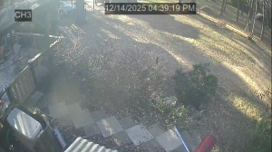 Caméra IP - Vereinigte Staaten von Amerika