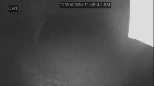 Caméra IP - Estados Unidos