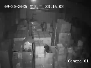 Caméra IP - Chine