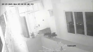 Caméra IP - Panama