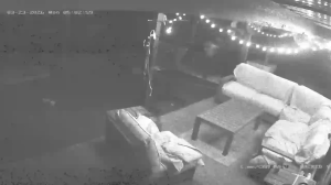 Caméra IP - United States of America