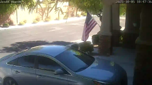 Caméra IP - United States of America