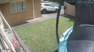 Caméra IP - Neuseeland