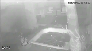 Caméra IP - Sudafrica