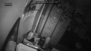 Caméra IP - United States of America