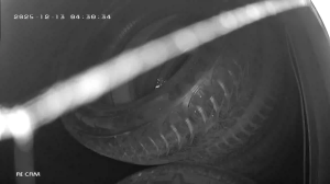 Caméra IP - Turquía