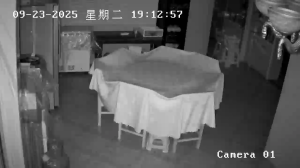 Caméra IP - China
