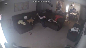 Caméra IP - Vereinigte Staaten von Amerika