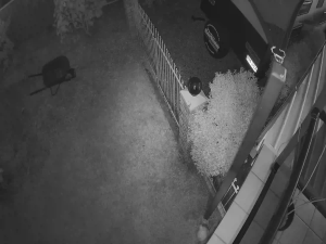 Caméra IP - Australien