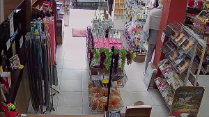 Caméra IP - Brésil