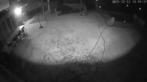 Caméra IP - Südafrika