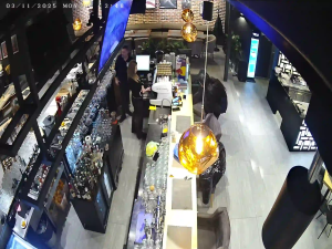 Caméra IP - Bulgarien