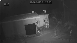 Caméra IP - South Korea