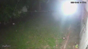 Caméra IP - Bolivie