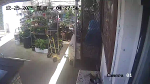 Caméra IP - Australie