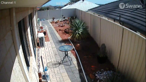 Caméra IP - Australien