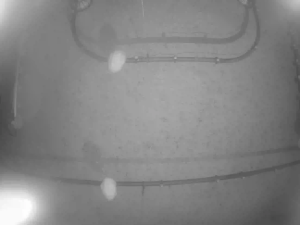 Caméra IP - Corée du Sud