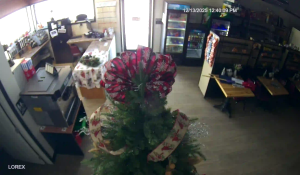 Caméra IP - Estados Unidos