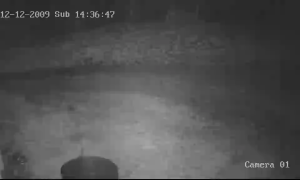 Caméra IP - Bosnie-Herzégovine