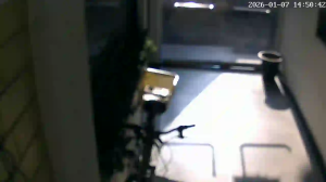 Caméra IP - Südkorea