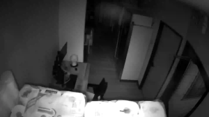 Caméra IP - États-Unis d'Amérique