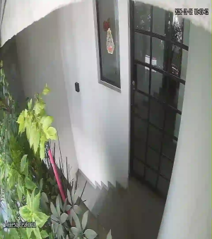 Caméra IP - Mexique