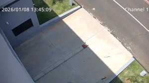 Caméra IP - South Africa