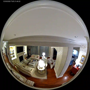 Caméra IP - États-Unis d'Amérique