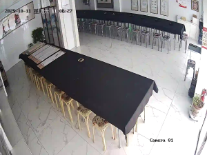 Caméra IP - China