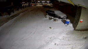 Caméra IP - Russian Federation