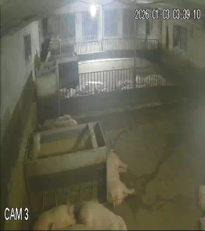 Caméra IP - Vietnam