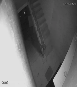 Caméra IP - Syrian Arab Republic