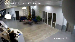 Caméra IP - Russian Federation