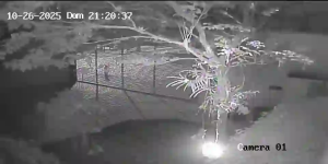 Caméra IP - Brasilien