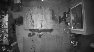 Caméra IP - Germany